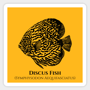 Discus Fish with Common and Latin Names - fish lovers design Magnet